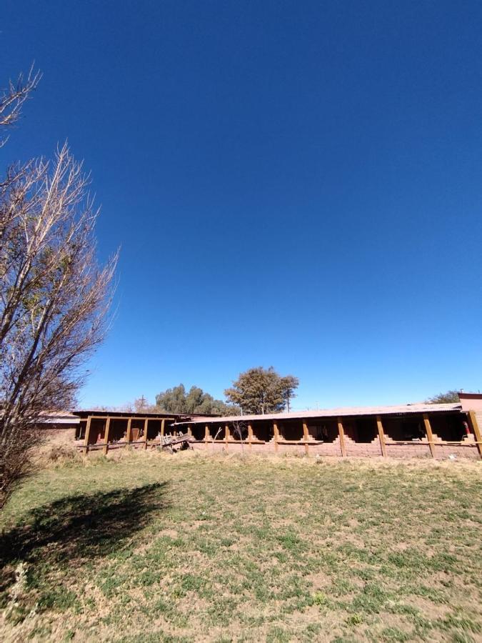 Puna Hostel San Pedro de Atacama Buitenkant foto