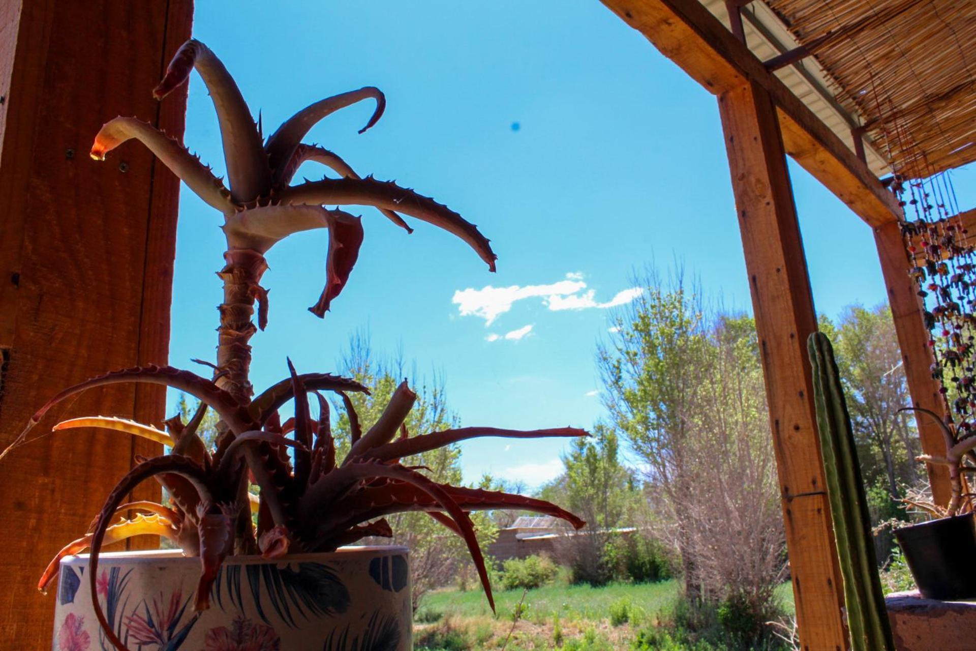 Puna Hostel San Pedro de Atacama Buitenkant foto